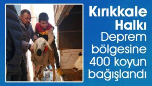 Deprem bölgesine 400 koyun bağışlandı