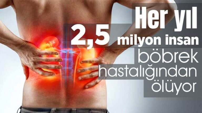 Her yıl 2,5 milyon insan böbrek hastalığından ölüyor