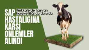 Şap hastalığına karşı önlemler alındı
