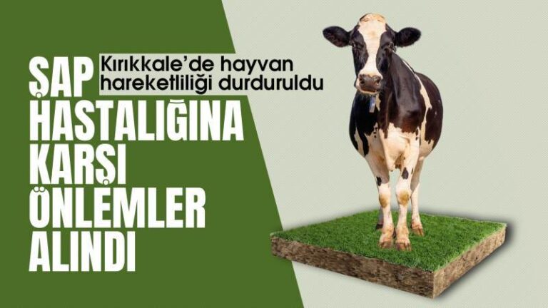 Şap hastalığına karşı önlemler alındı