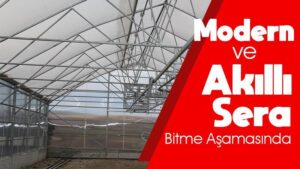 Modern ve Akıllı Sera Bitme Aşamasında