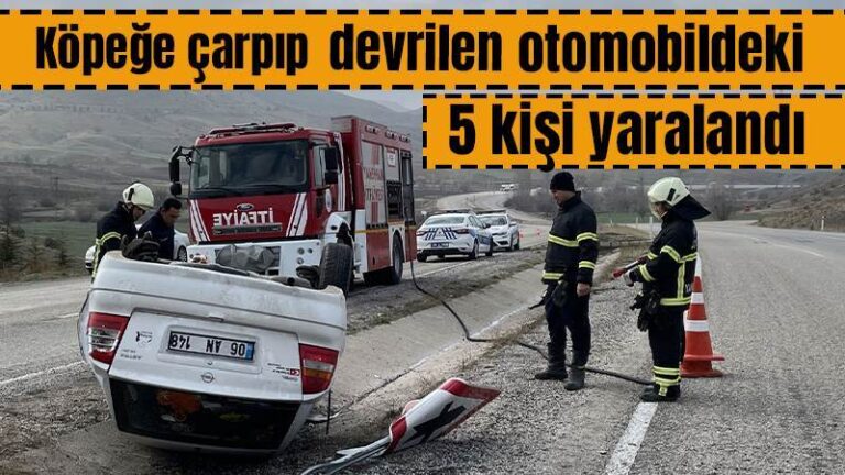 Köpeğe çarpıp devrilen otomobildeki 5 kişi yaralandı