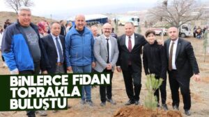 Binlerce fidan toprakla buluştu