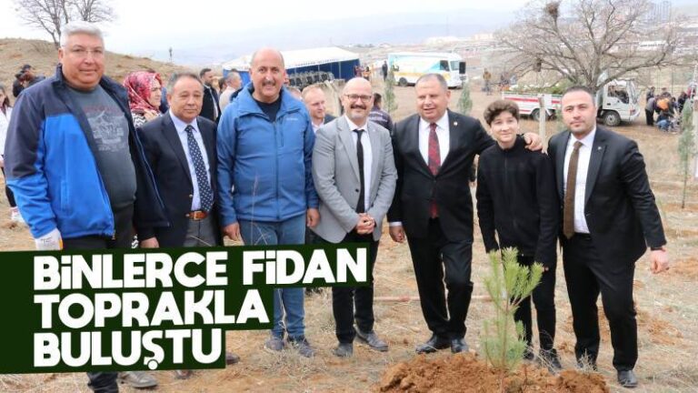 Binlerce fidan toprakla buluştu