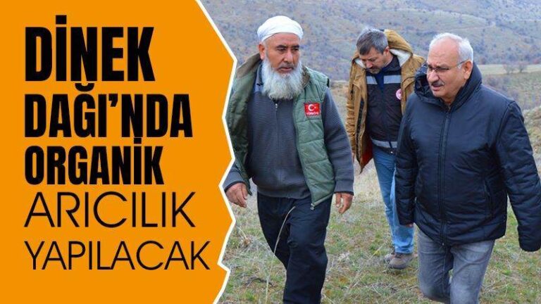Dinek Dağı’nda organik arıcılık yapılacak