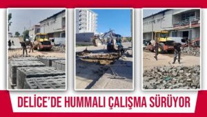 Delice’de hummalı çalışma sürüyor