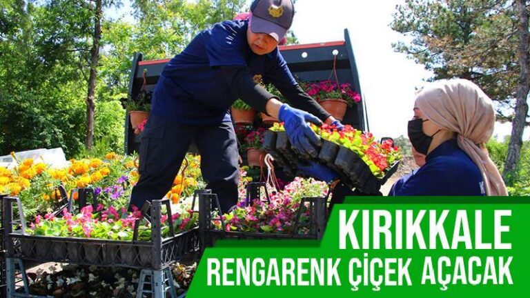 Kırıkkale rengarenk çiçek açacak
