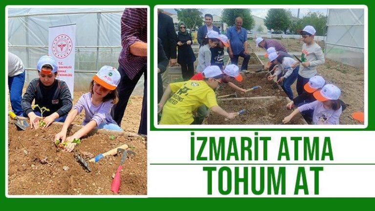 İzmarit atma tohum at
