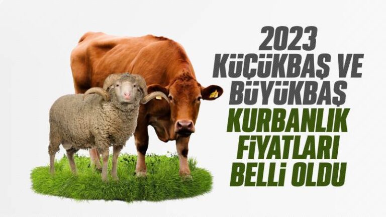 Kurban Bayramı ne zaman? 2023 kurbanlık fiyatları ne kadar?