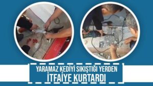 Yaramaz kediyi sıkıştığı yerden itfaiye kurtardı