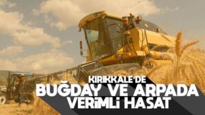 Buğday ve arpada verimli hasat 