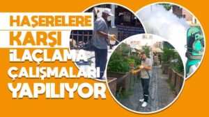 Haşerelere karşı ilaçlama çalışmaları yapılıyor