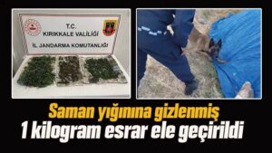 Samanların arasından esrar çıktı 