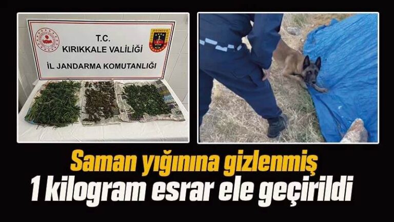 Samanların arasından esrar çıktı 