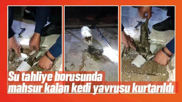 Su tahliye borusuna sıkışan kedi yavrusu kurtarıldı