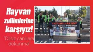 Kırıkkale’de hayvan zulümlerine karşı dikkat çekmek için toplandılar