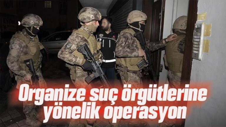 Suç örgütlerine yönelik operasyon