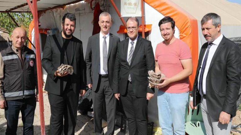 Kırmızı etle eşdeğer mantar