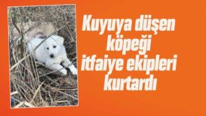 Kırıkkale’de kuyuya düşen köpeği itfaiye ekipleri kurtardı