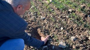 Kırıkkale’de tarlalar kontrol edildi
