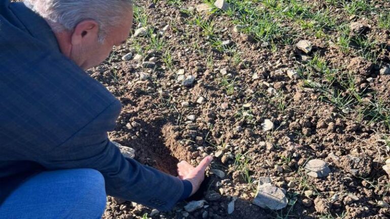 Kırıkkale’de tarlalar kontrol edildi