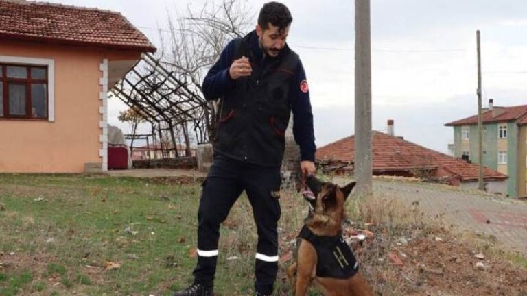 Arama kurtarma köpeği İGLO göreve hazır