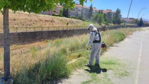 Kırıkkale’de yabani otlarla mücadele ediliyor