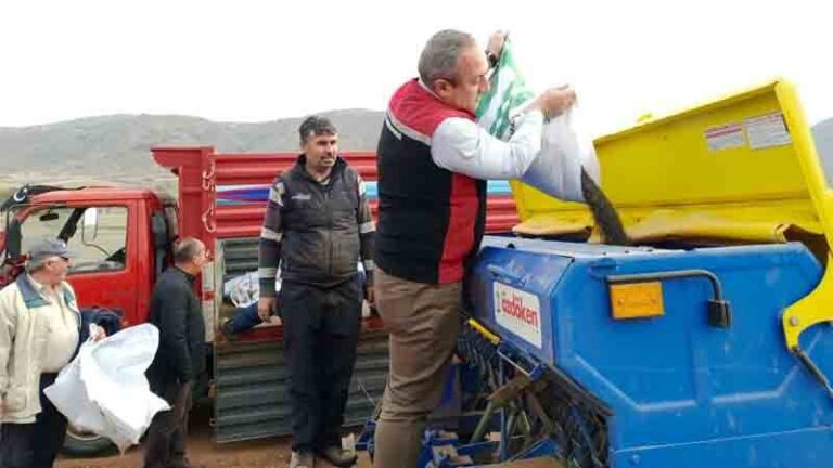 Doğrudan ekim ile macar fiği ekimi yapıldı