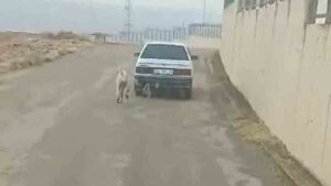 Kırıkkale’de vicdansızlığın bu kadarı!