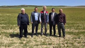 Keskin’de zirai don için incelemeler yapıldı