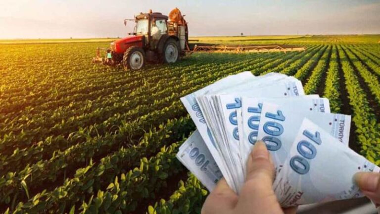 Çiftçilere 345 milyonluk ödeme yapılıyor