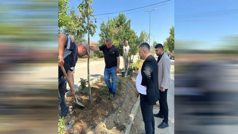 Hacılar’da yeşil dönüşüm