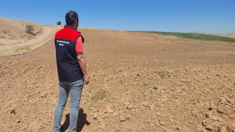 İşlenmeyen tarım arazileri üretime kazandırılıyor