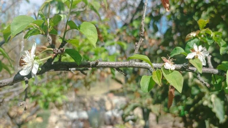 Kırıkkale’de Eylül ayında şoke eden görüntü!