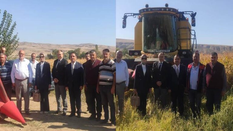 Karabucak Köyünde mısır hasadı başladı