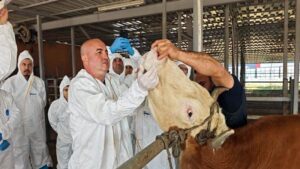 Hayvan üreticilerine probang eğitimi