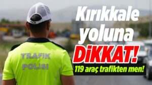 119 araç trafikten men edildi