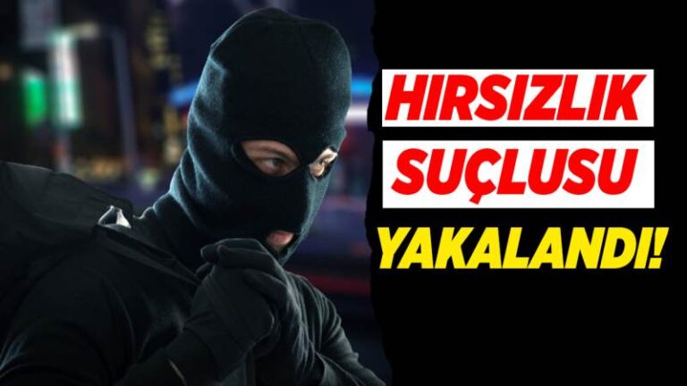 Hırsızlık suçlusu yakalandı!