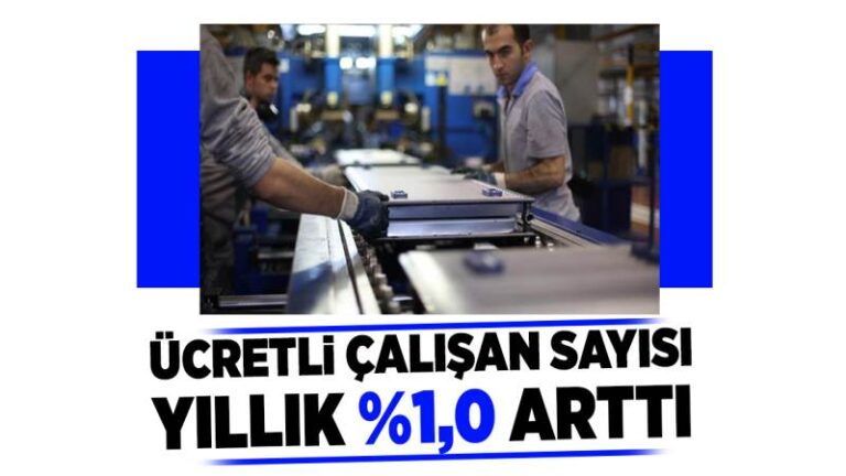 Ücretli çalışan sayısı yıllık %1,0 arttı
