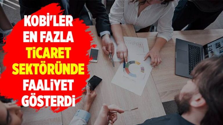 KOBİ’ler en fazla ticaret sektöründe faaliyet gösterdi