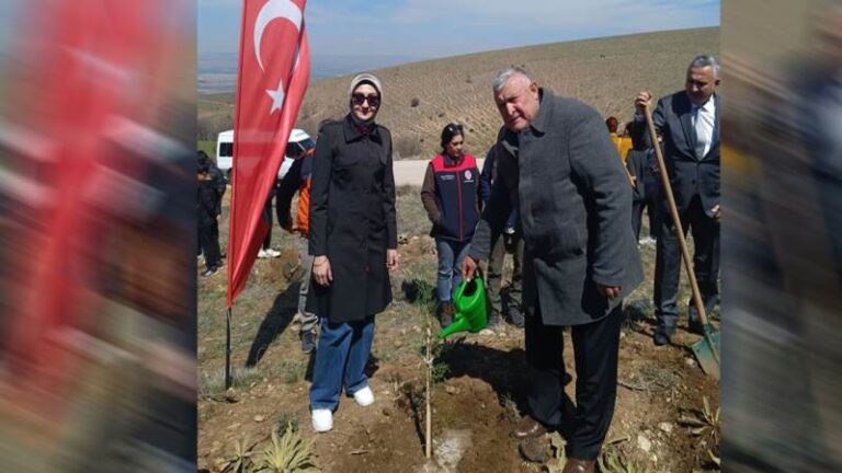 Çelebi’de fidanlar toprakla buluştu