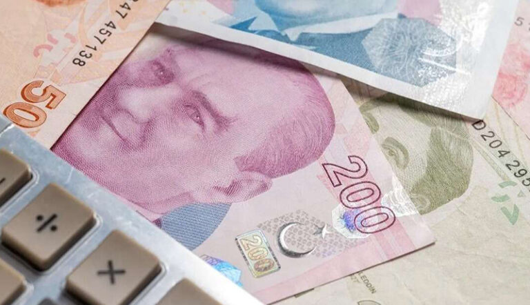 Annelerin Hesaplarına Destek Ödemesi Yatırıldı